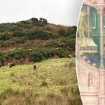 Archaeologist believes he found legendary Viking ruler's lost grave in remote spot: 'This is rare'