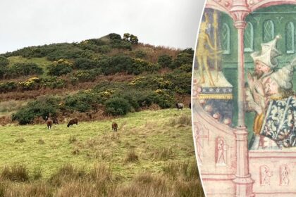 Archaeologist believes he found legendary Viking ruler's lost grave in remote spot: 'This is rare'