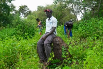 Archaeologists use song to herald findings in Guinea-Bissau dig