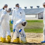 Colorado declares disaster emergency as presumptive bird flu outbreak hits facility with 1.3M chickens
