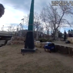 Cops skull smashed in creek fight as repeat offender suspect walks on $100 bond