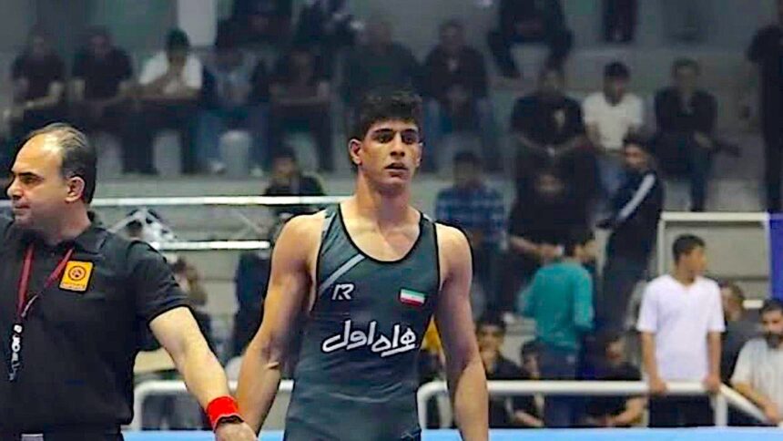 I'm an Iranian wrestling champion â the IOC must start defending persecuted athletes