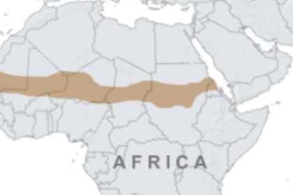 IS in Sahel expands terror threat beyond strongholds