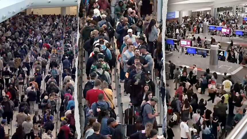 LIZ PEEK: Voters tell Congress 'do your job' and end the DHS showdown