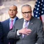 NEWT GINGRICH: Democrats could get an alarming wake-up call in 2026 election