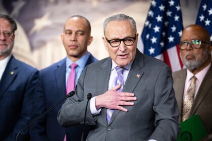 NEWT GINGRICH: Democrats could get an alarming wake-up call in 2026 election