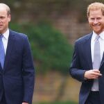 Princess Diana prepared Prince Harry to be king over shy Prince William: friend
