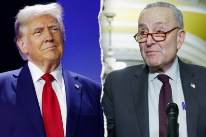 Schumer knocks Trump on Iran, plan to send ICE to airports: 'Asking for trouble'