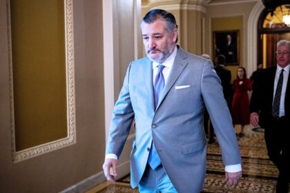 Ted Cruz unleashes on Dems for risking American lives with DHS shutdown: 'Radical open-border base'