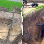 Temple from time of Christ reveals powerful society lost to history, archaeologists say
