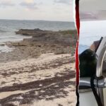 Boatyard employee found 'exhausted' missing American's husband when he washed ashore after night adrift