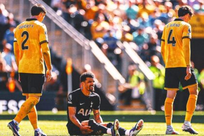Dominic Solankes Season In Doubt Amid Tottenham's Relegation Battle