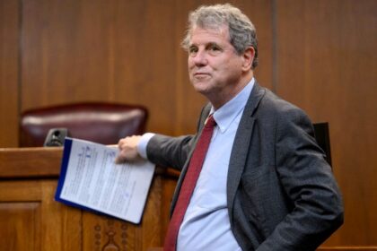 FLASHBACK: Dem senate candidate was critical vote in confirming judge who tied voter ID to 'White supremacy'