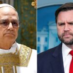 JD Vance tells Pope Leo XIV to 'stick to matters of morality' and stay out of US public policy