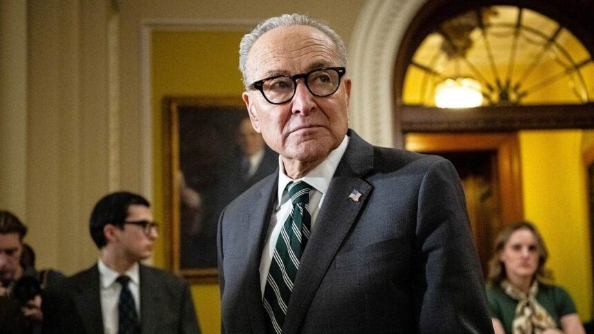 LIZ PEEK: Warring Democrats will need more than Trump hatred to win in 2028