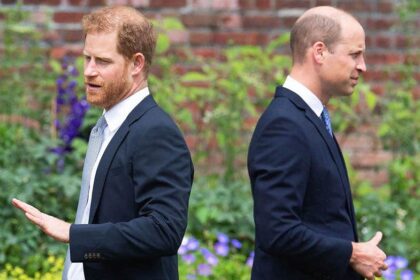 Prince Williams ruthless side emerges as he views Prince Harry as untrustworthy': experts