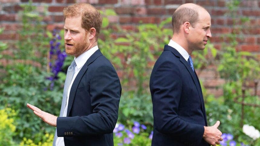 Prince Williams ruthless side emerges as he views Prince Harry as untrustworthy': experts