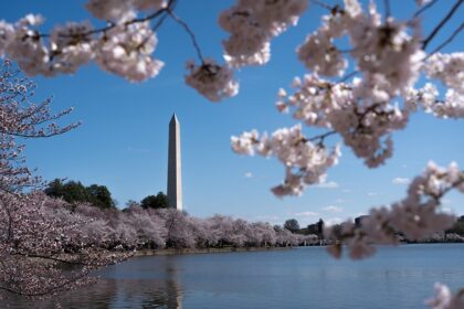 Trumps DC beautification push wins rare Dem praise as president snaps landmarks back to life
