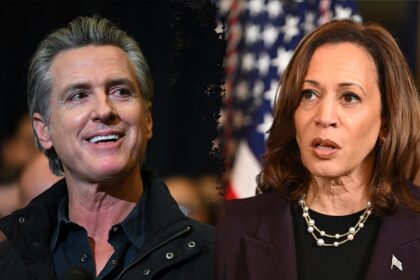 LEE CARTER: I study polling. Democrats are gambling on anti-Trump votes, not ideas