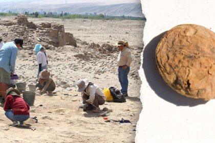 Archaeologists uncover freeze-dried potatoes older than the US in 'excellent' condition