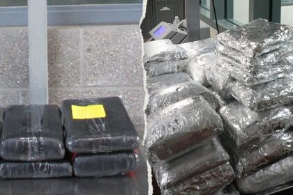 Massive Mexico-California border busts uncover eye-popping amount of drugs: 'Remain vigilant'