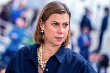 Slotkin says Democratic Party needs 'new leadership': 'Old models are no longer working'
