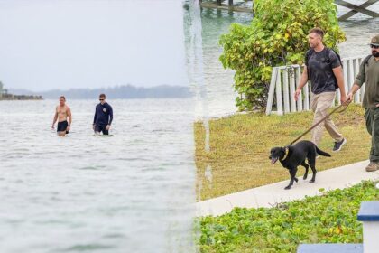 Why investigators are searching both land and sea for missing Michigan woman in Bahamas