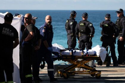 Woman airlifted to hospital with serious injuries after shark attack at popular Sydney beach