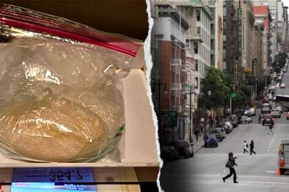California suspect's alleged $30K meth stash seized after he left backpack in rideshare: police