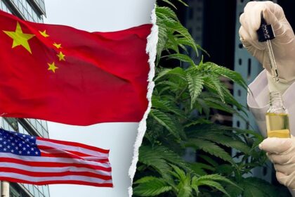 Former acting DHS secretary warns Chinese criminal organizations are infiltrating America's hemp industry