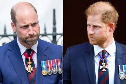 Prince William 'no longer recognizes' Prince Harry as security battle leaves duke 'close to tears': expert