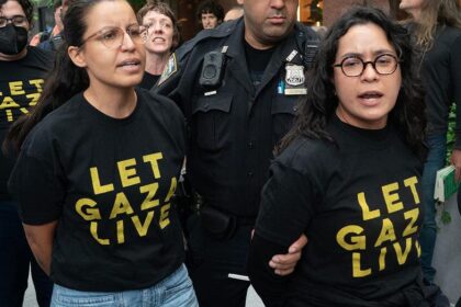Socialist House hopeful under fire for pro-Palestinian July 4 message