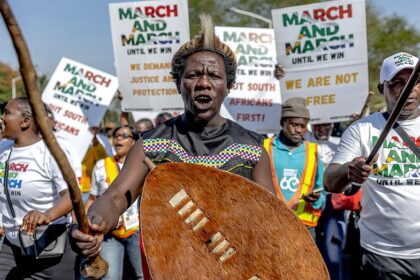 South Africas illegal migration backlash mirrors political battles across the West