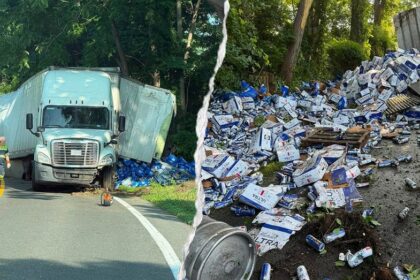 Thousands of beer cans spill across Connecticut highway after tractor-trailer overturns