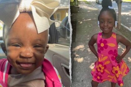 Babysitter accused of kidnapping two young sisters was previously charged with abducting newborn