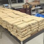 CBP officers seize $67 million in illegal drugs at San Diego border ports, DHS says