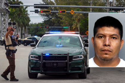 EXCLUSIVE: Illegal immigrant's hit-and-run on 'kind' elderly woman triggers ICE action: 'Could hear screaming'