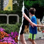 Gender equity, DEI, climate action: How the Smithsonians woke push infiltrated America's most beloved Zoo