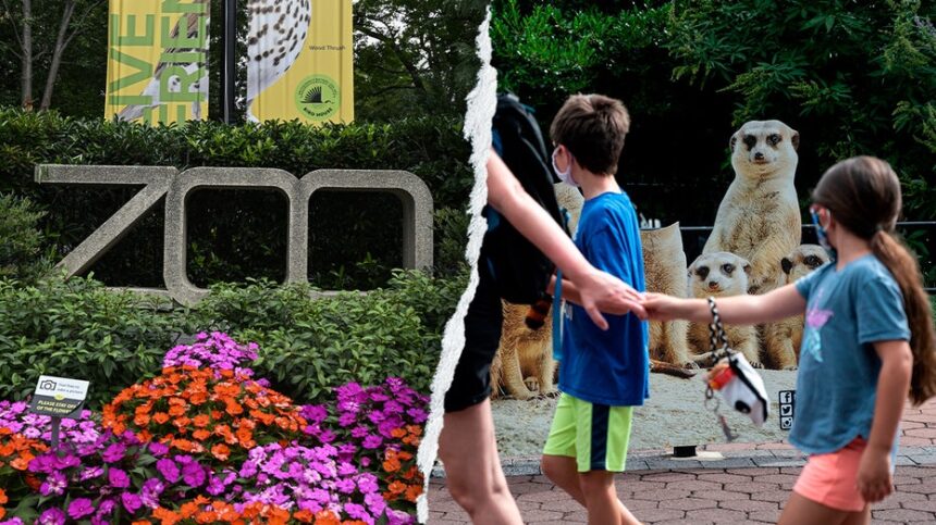 Gender equity, DEI, climate action: How the Smithsonians woke push infiltrated America's most beloved Zoo
