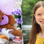 Judge sentences Lily Peters' killer 4 years after 10-year-old found dead in woods