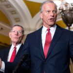 Thune-aligned groups unleash historic war chest to defend Senate majority: 'Winning message'