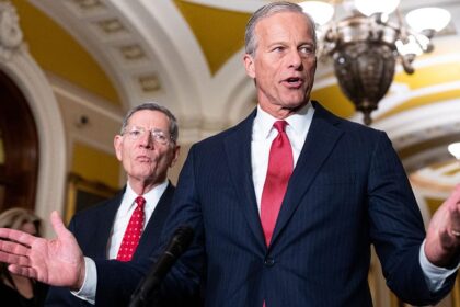 Thune-aligned groups unleash historic war chest to defend Senate majority: 'Winning message'