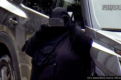 Womans alleged ISIS radicalization unfolded online before Capitol bomb plot: court docs