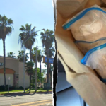 California pizza joint allegedly used as meth distribution hub as illegal immigrant charged