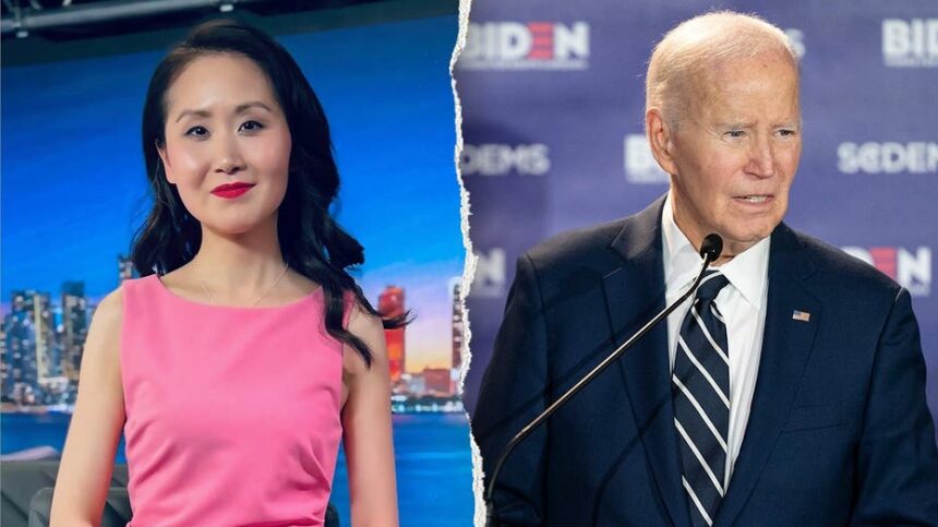 Ex-Dem fundraiser traces socialist surge to Biden-era leadership vacuum: Theres no one there