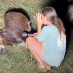 Georgia cop kills beloved pet donkey in his own pasture as heartbroken owner demands justice: 'We miss him'