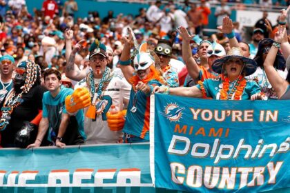 Influencer banned from Hard Rock Stadium after incident with security during Dolphins game